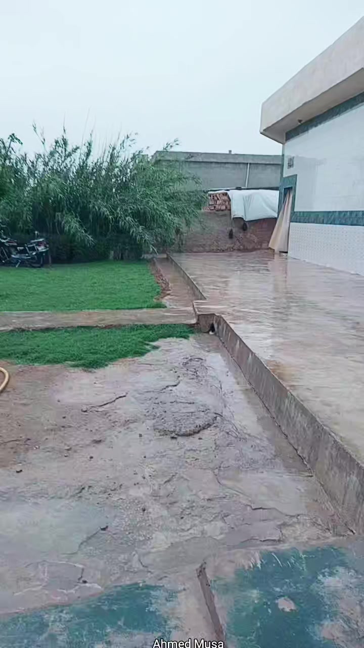 @أحمد الموسى
