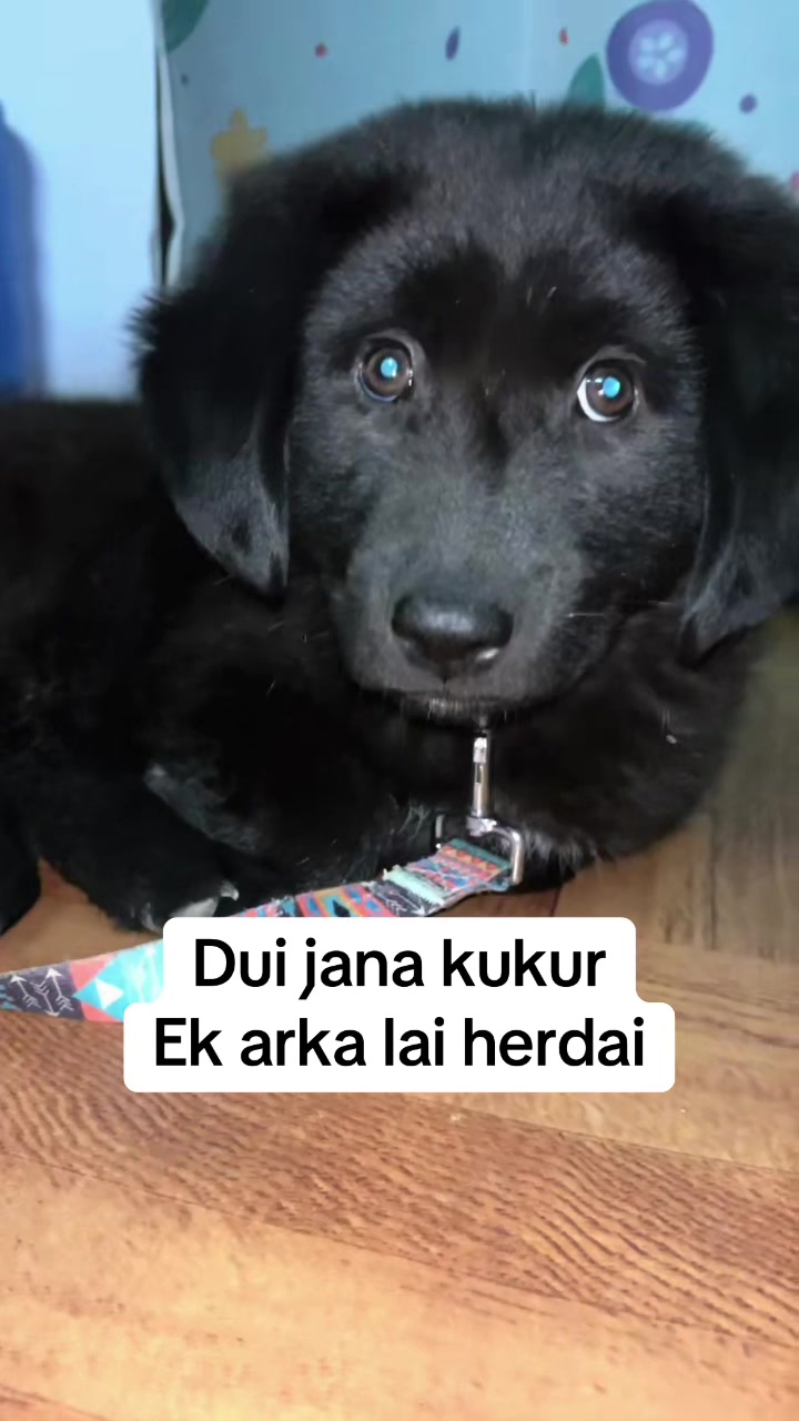@Dipika❤️