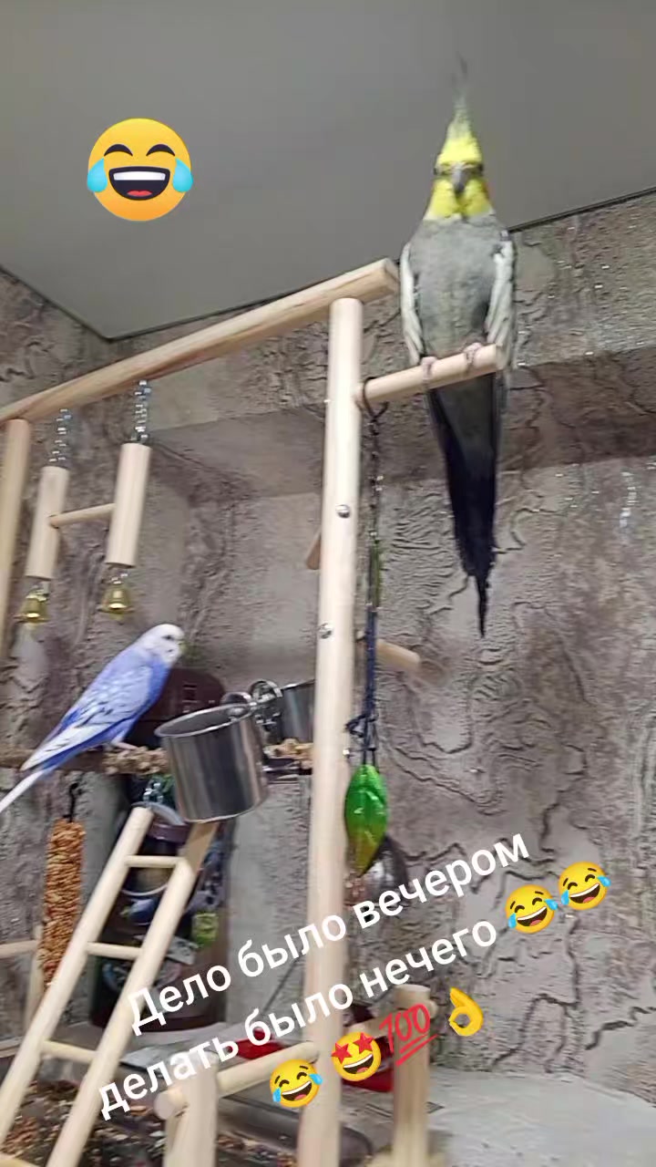 @Натали 🥰🥰🥰🥰☑️☑️☑️