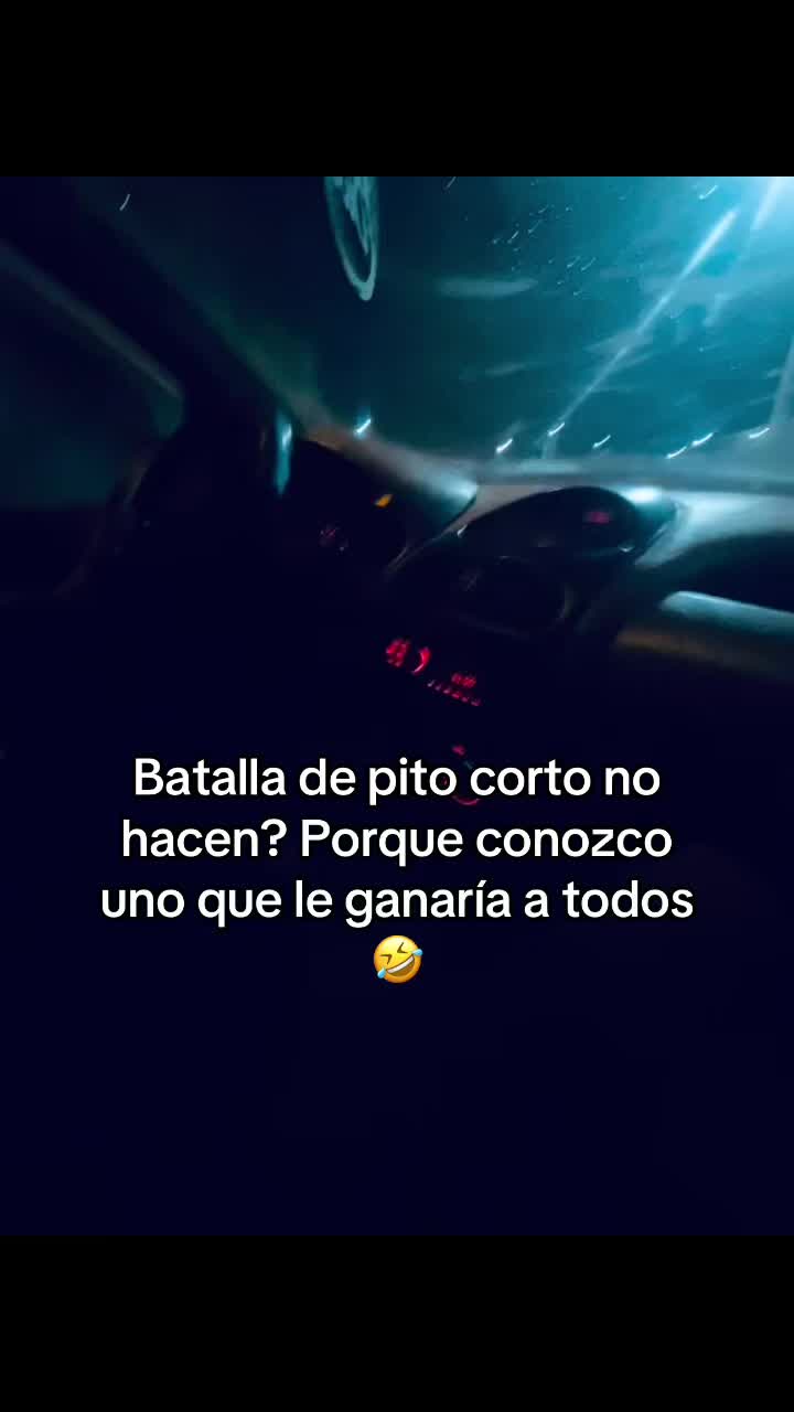 @antonellasalgan2227