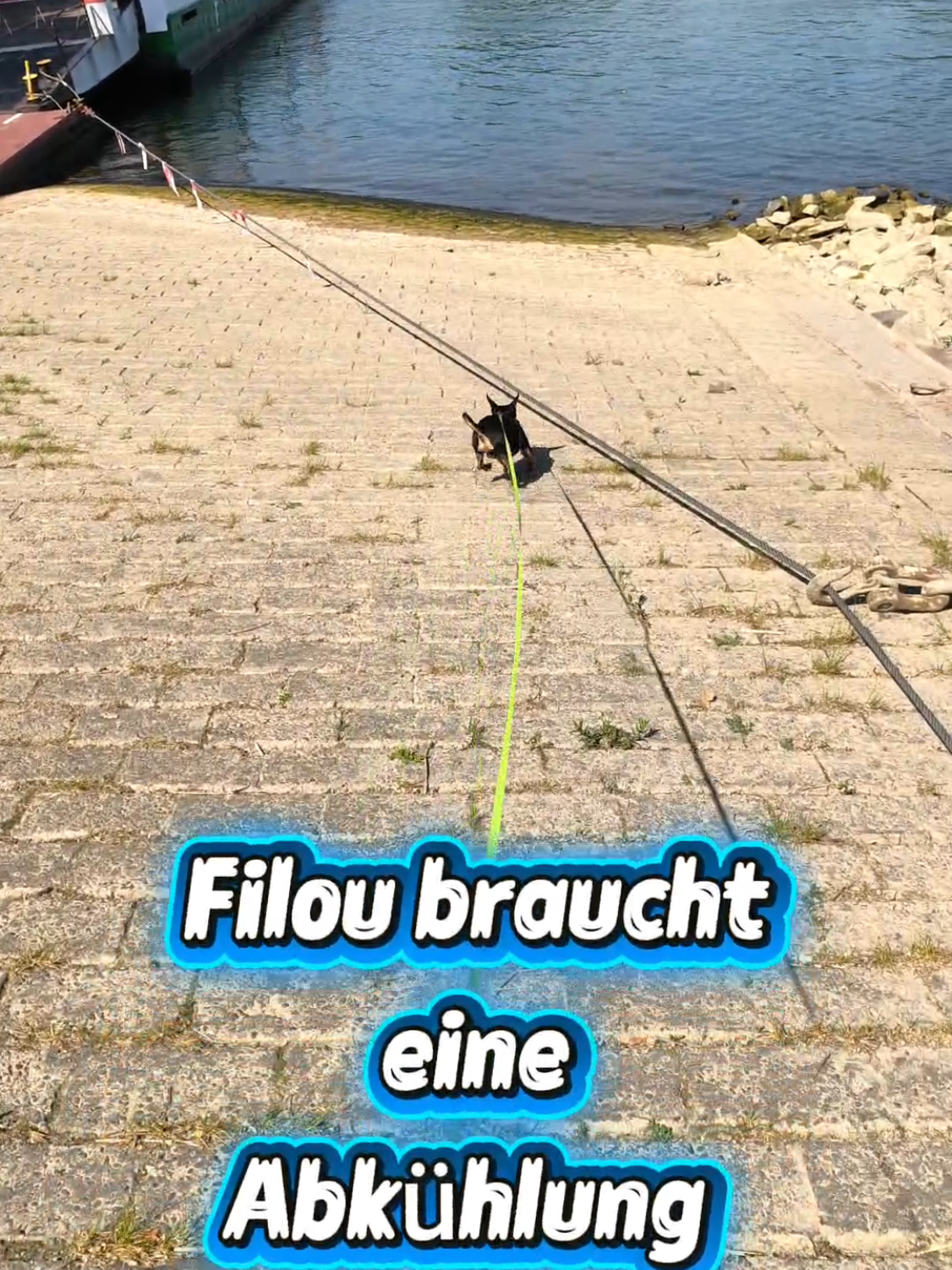 @ICH BIN'S
