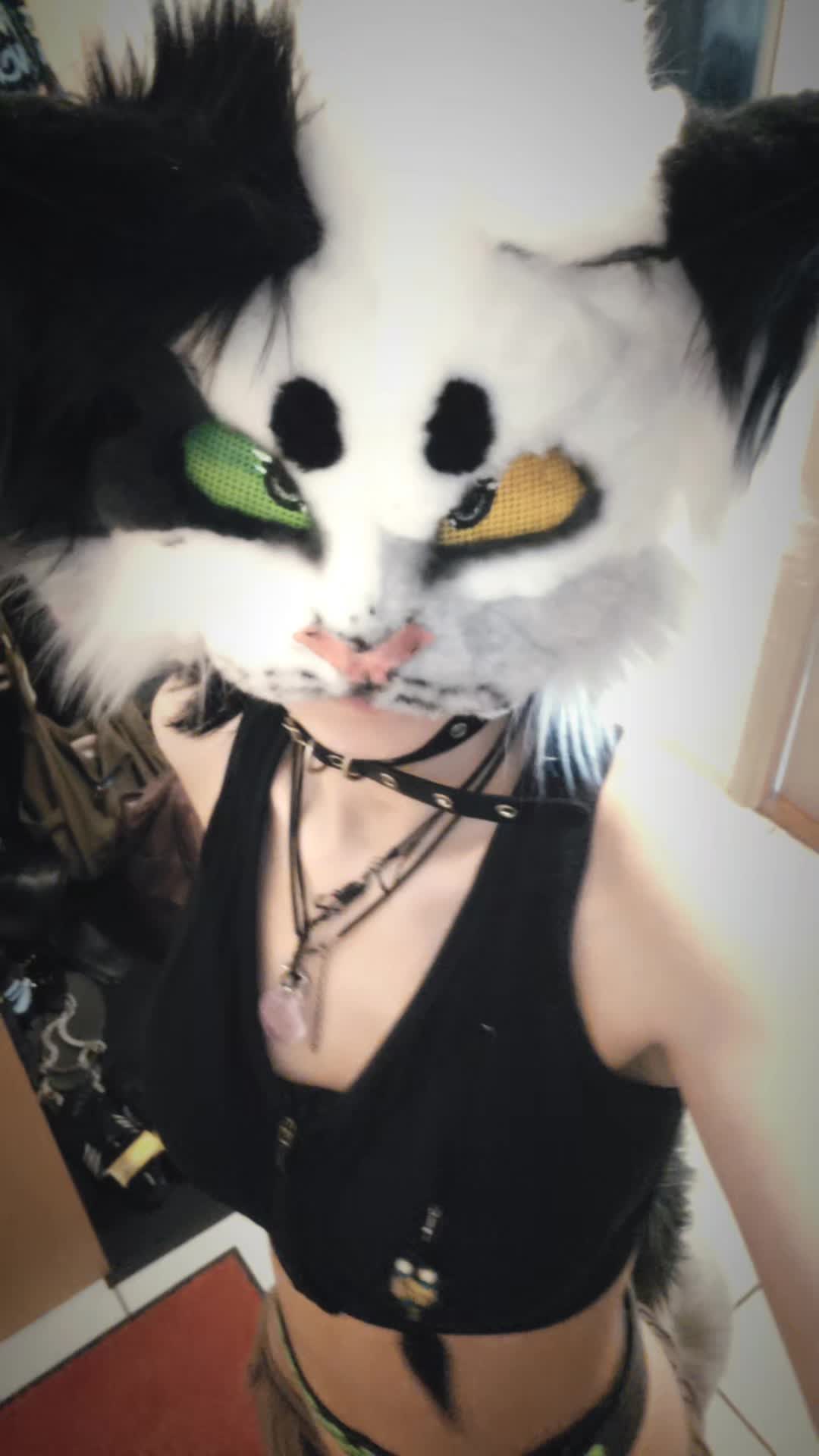 @°•☆Mikai☆•°