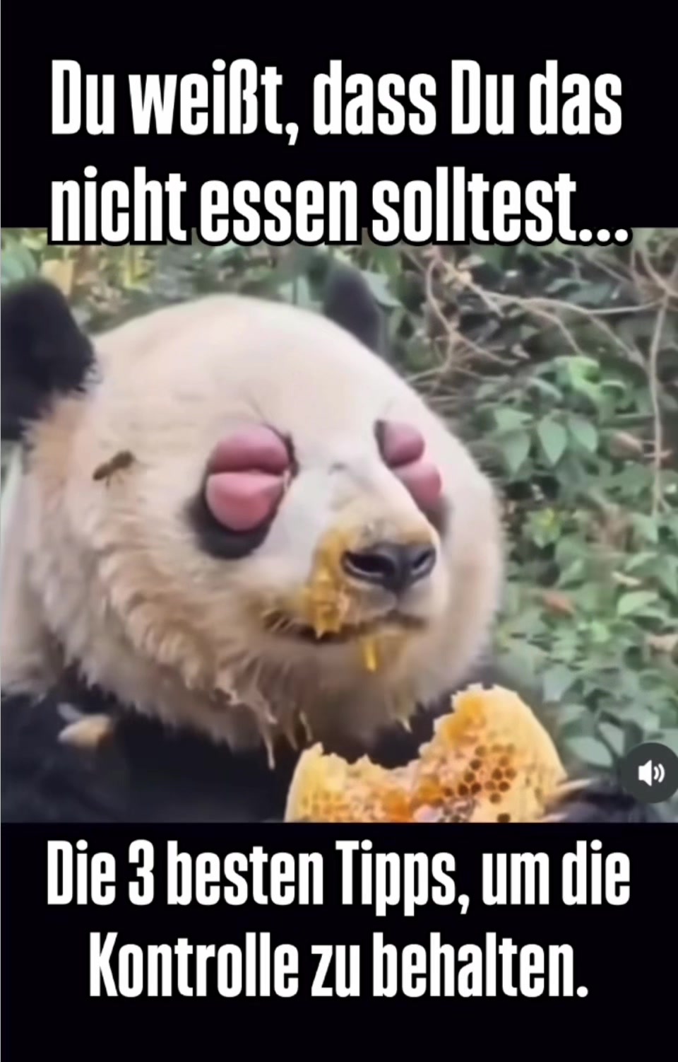 @Dr.ulrichgeorgstrauch