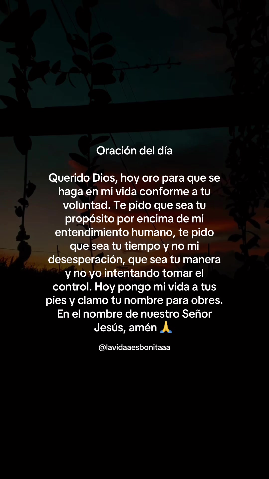 @vidabonita❤️&zwj;🩹