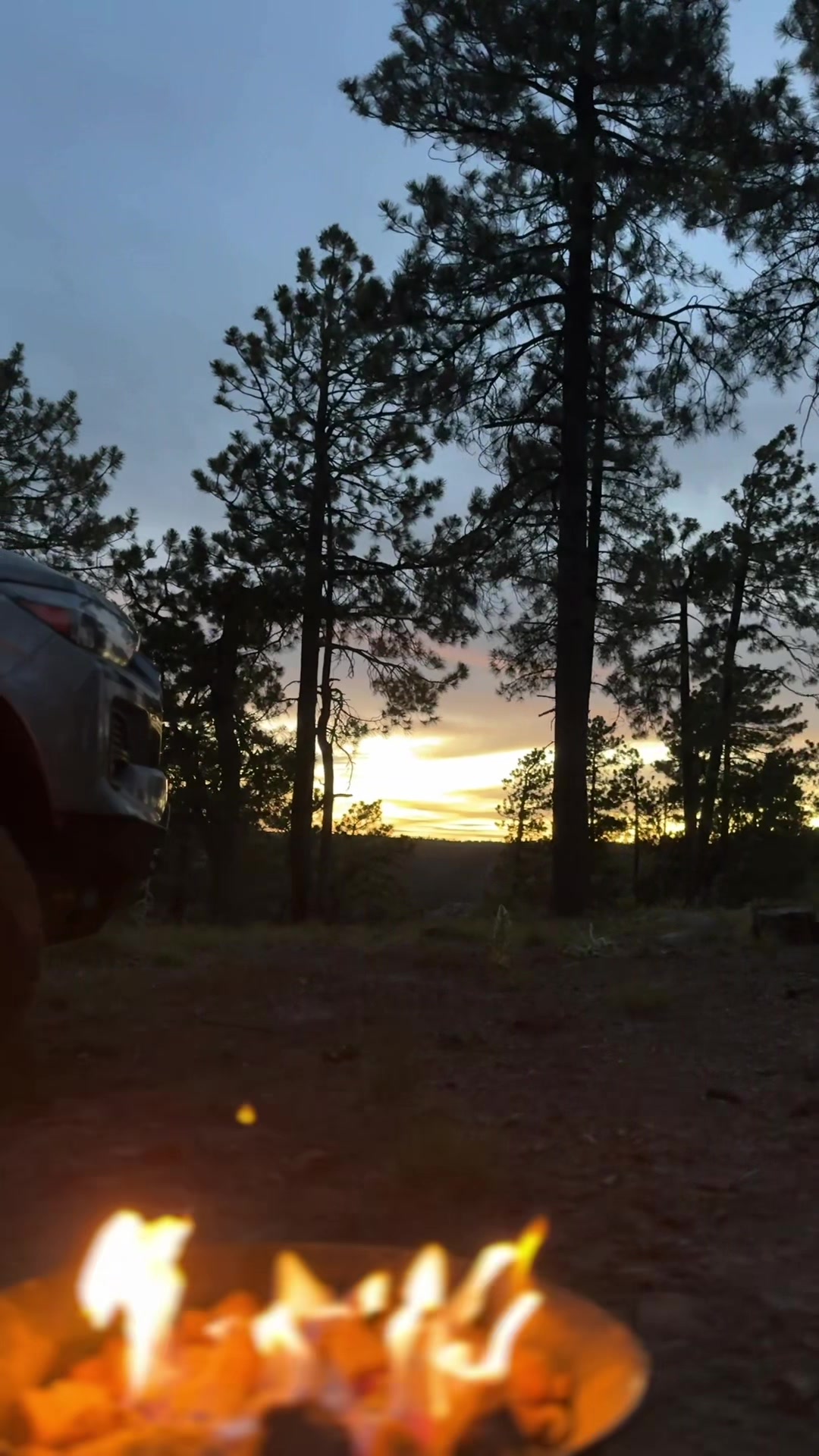 @Roam.z71