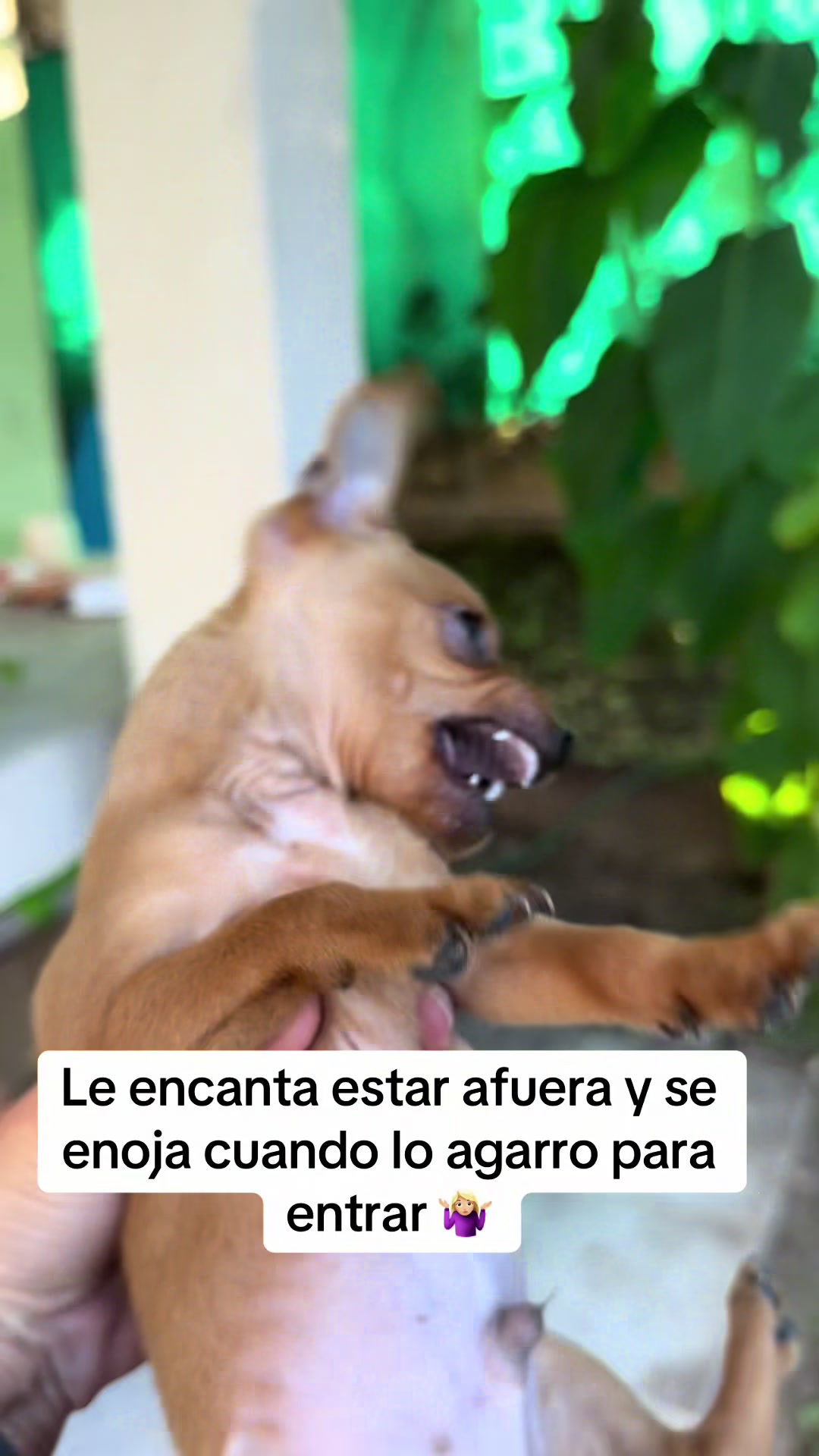 @Verina 💛