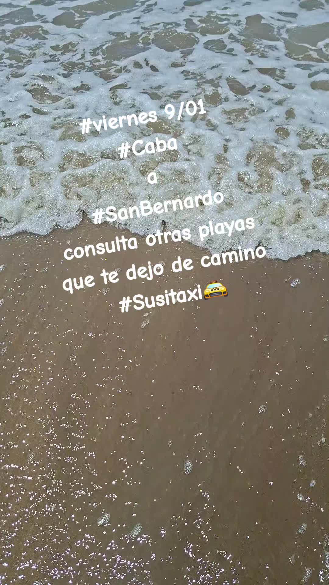 @Susi.taxi