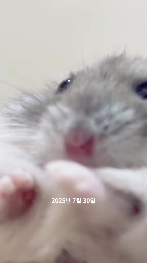 @๐๐๐๐โจ
