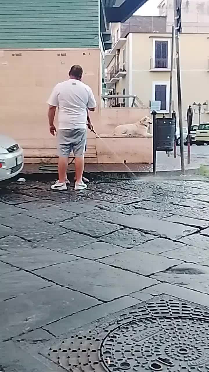 @Manuela Cataldi