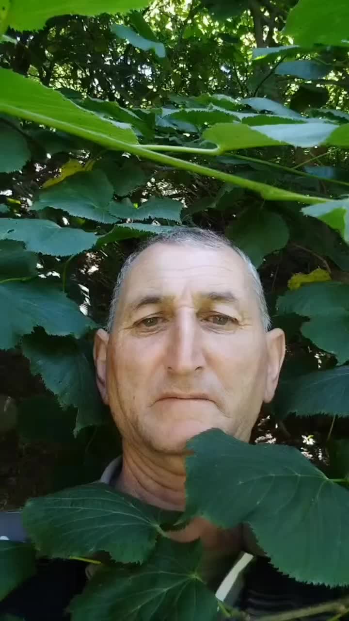 @โ๐๐๐๐โ