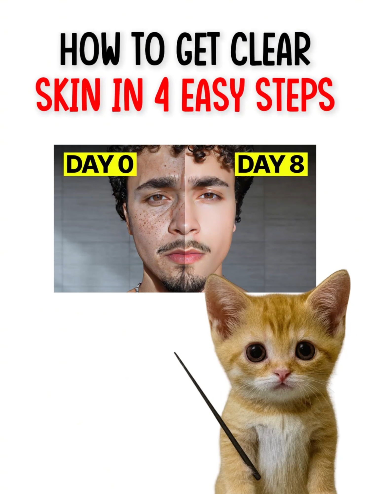 @mrkittyn