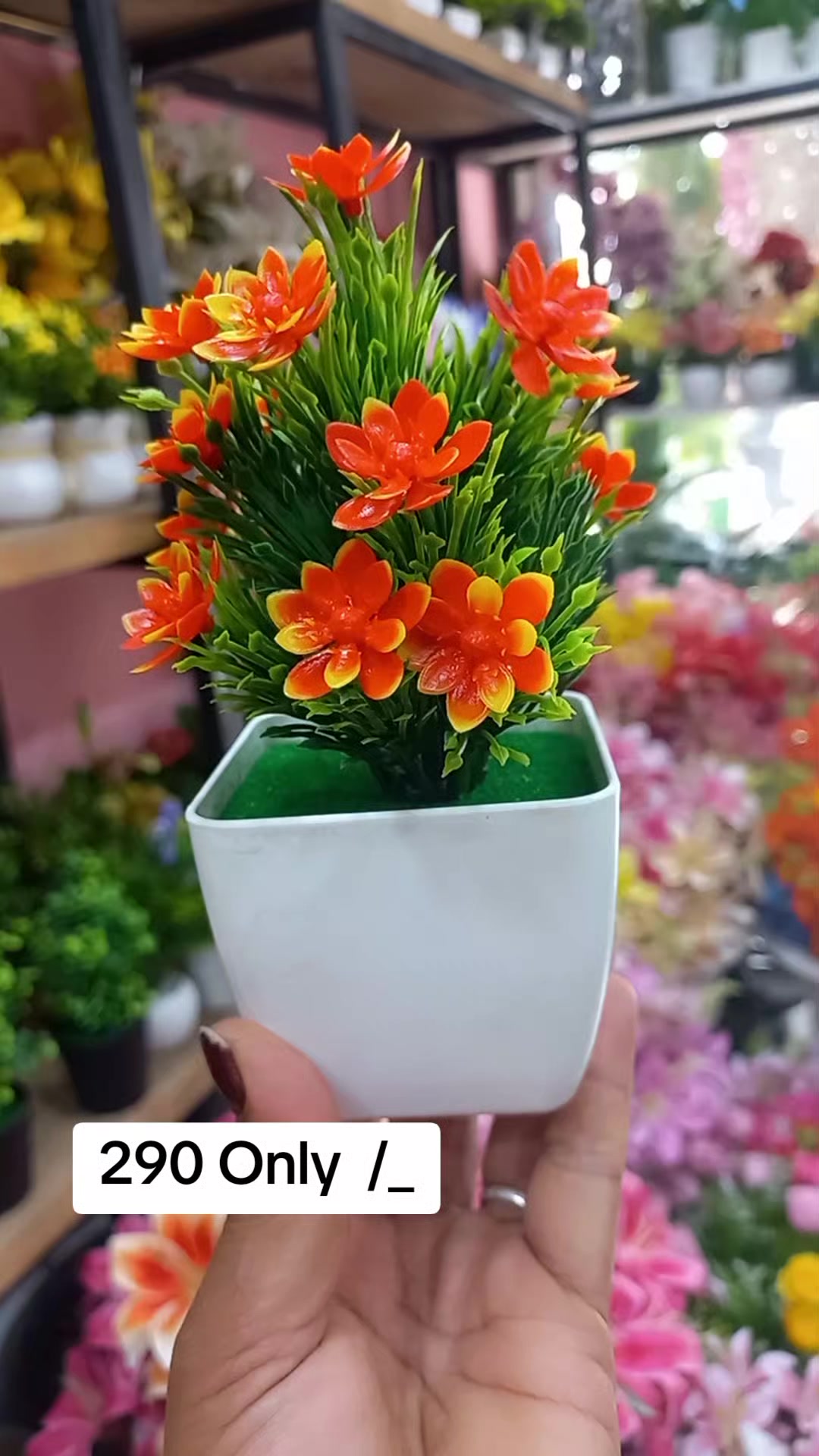 @Flora_p0int-dhumbarahi