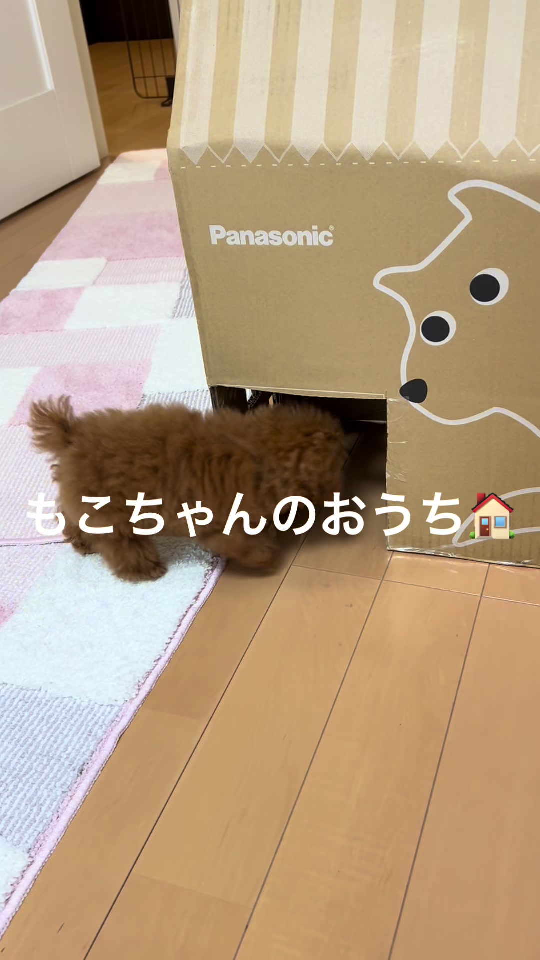 @もこ