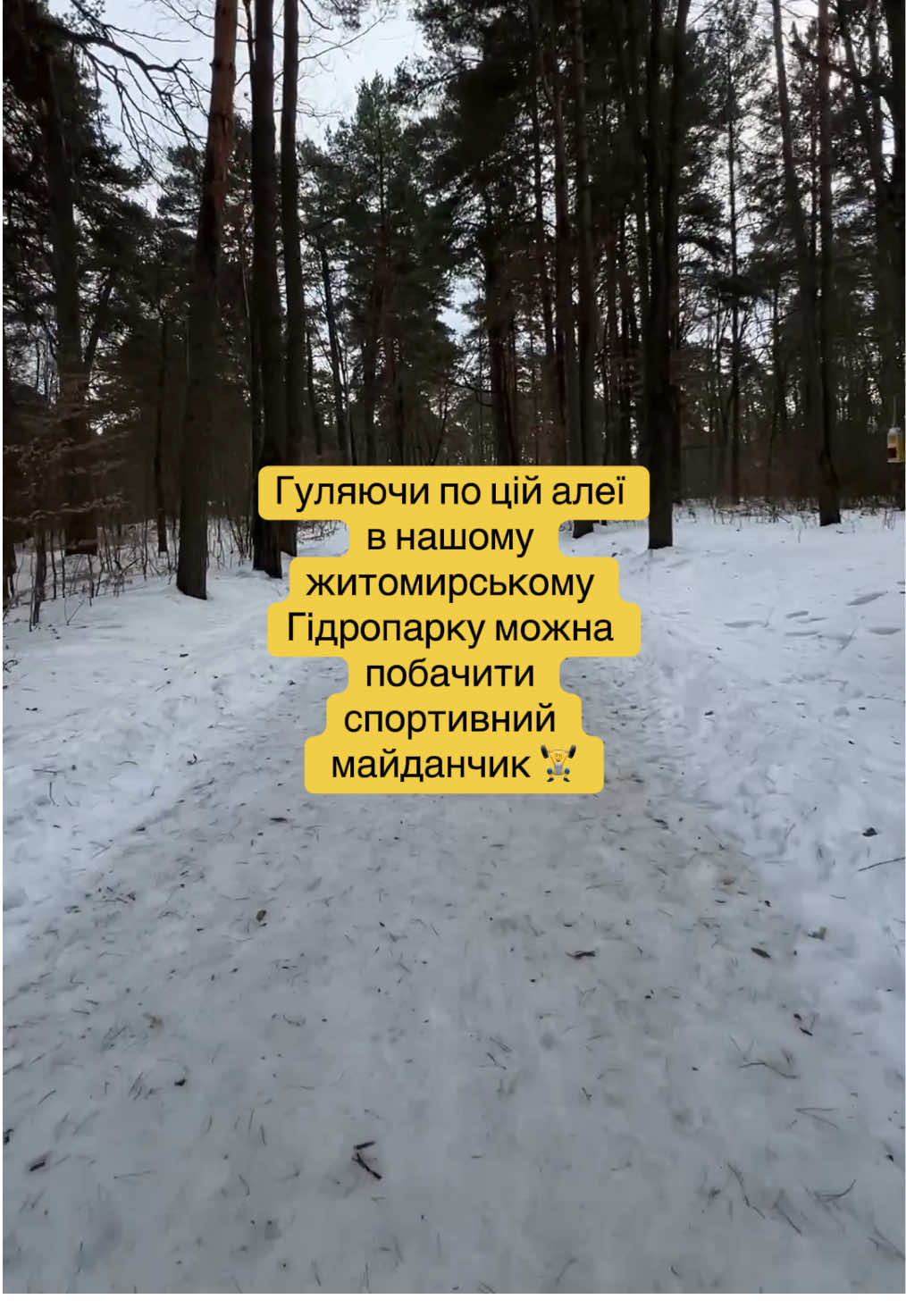 @цех884