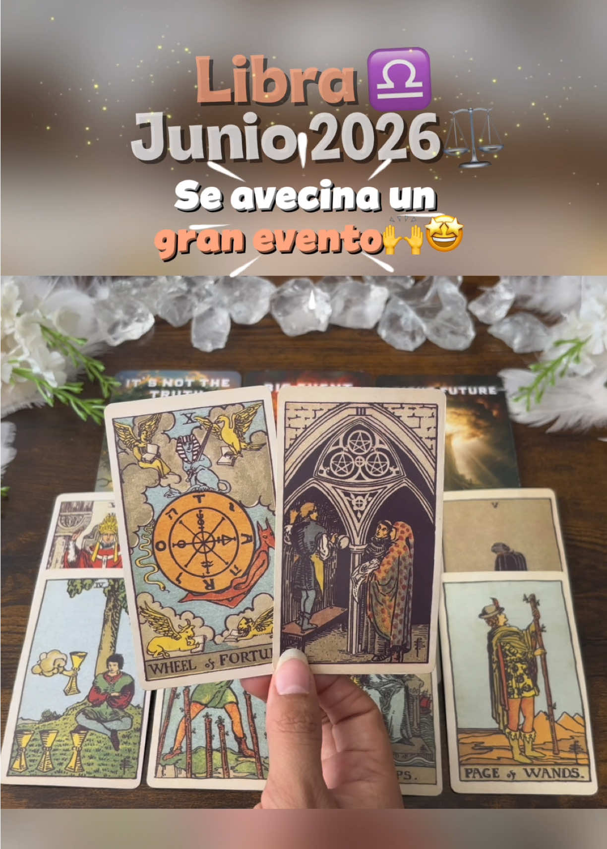 @Andy Sun Tarot ☀️