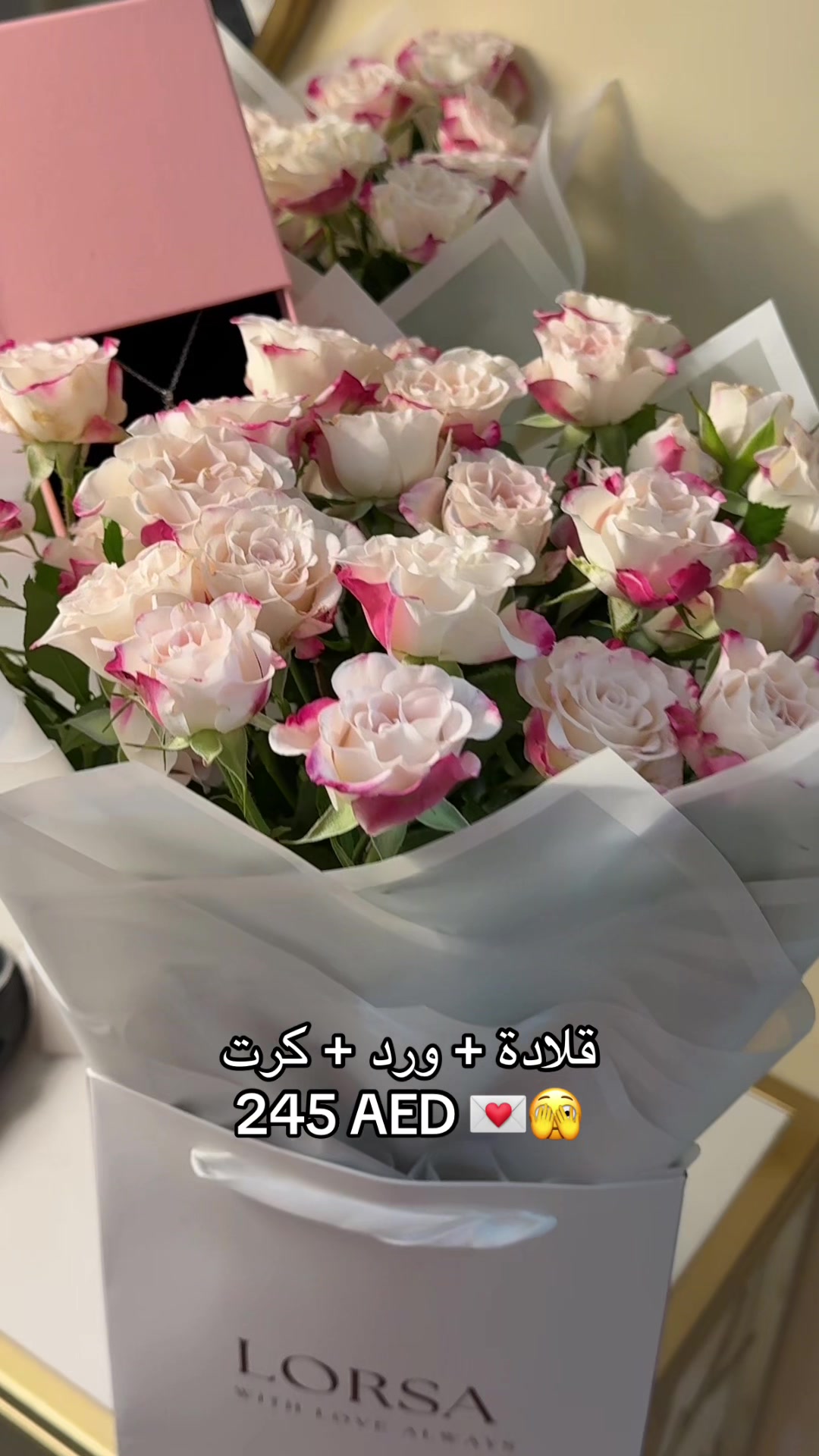 @lorsa 🇦🇪