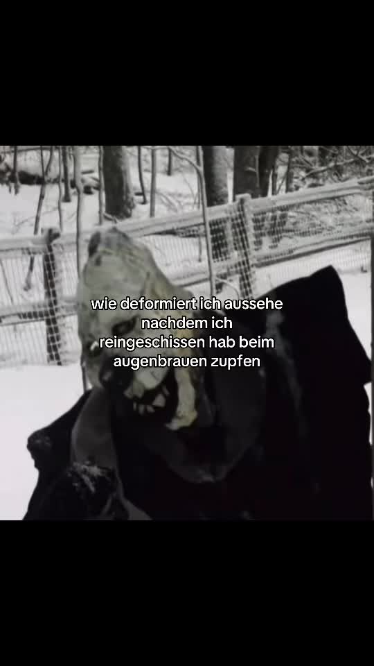 @verfickterhuhrensohn