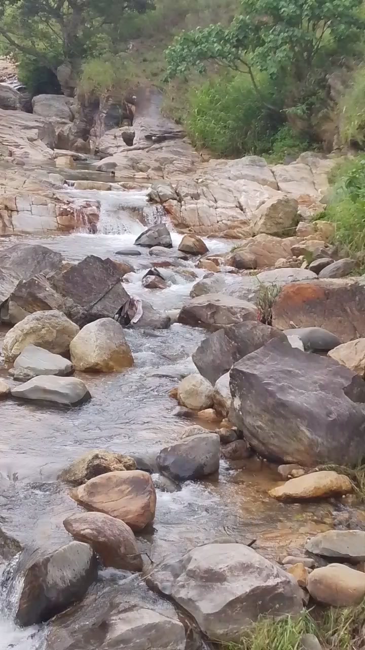@suman kumari