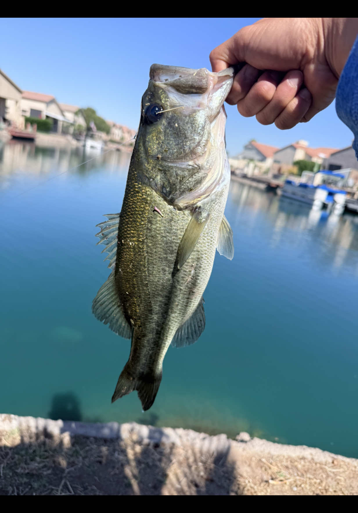 @Luu Nguyen Fishing