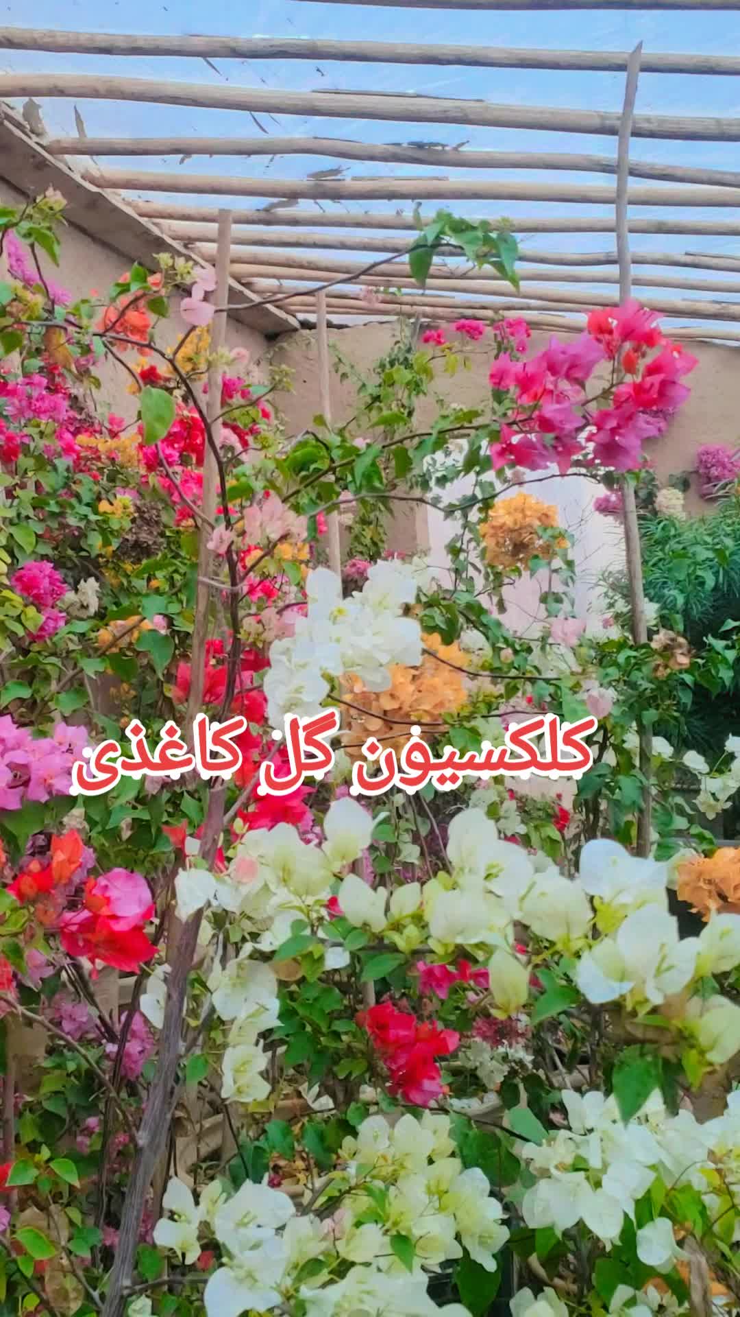 @Mateen Positive