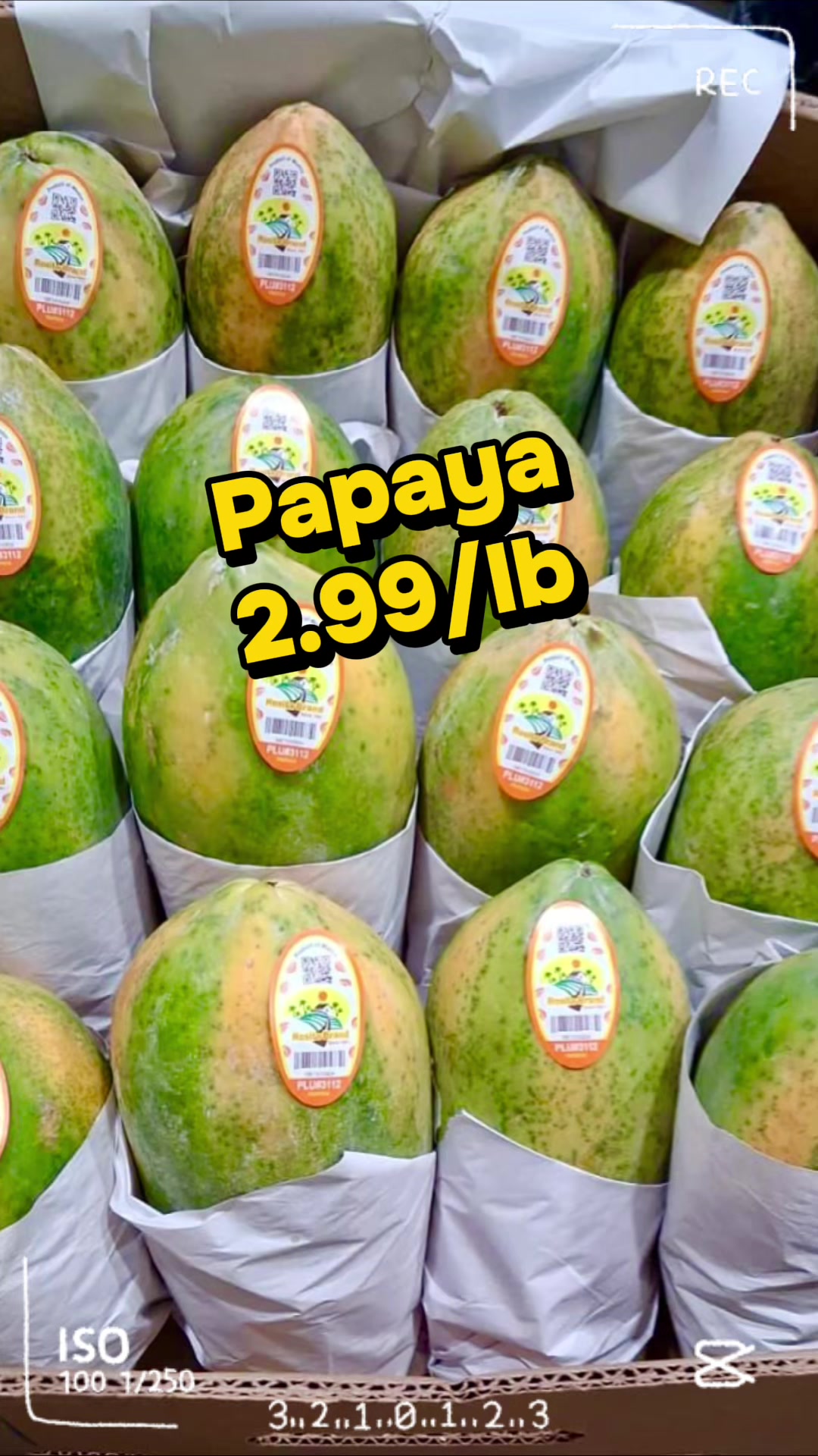 @Global_Grocers_Ltd