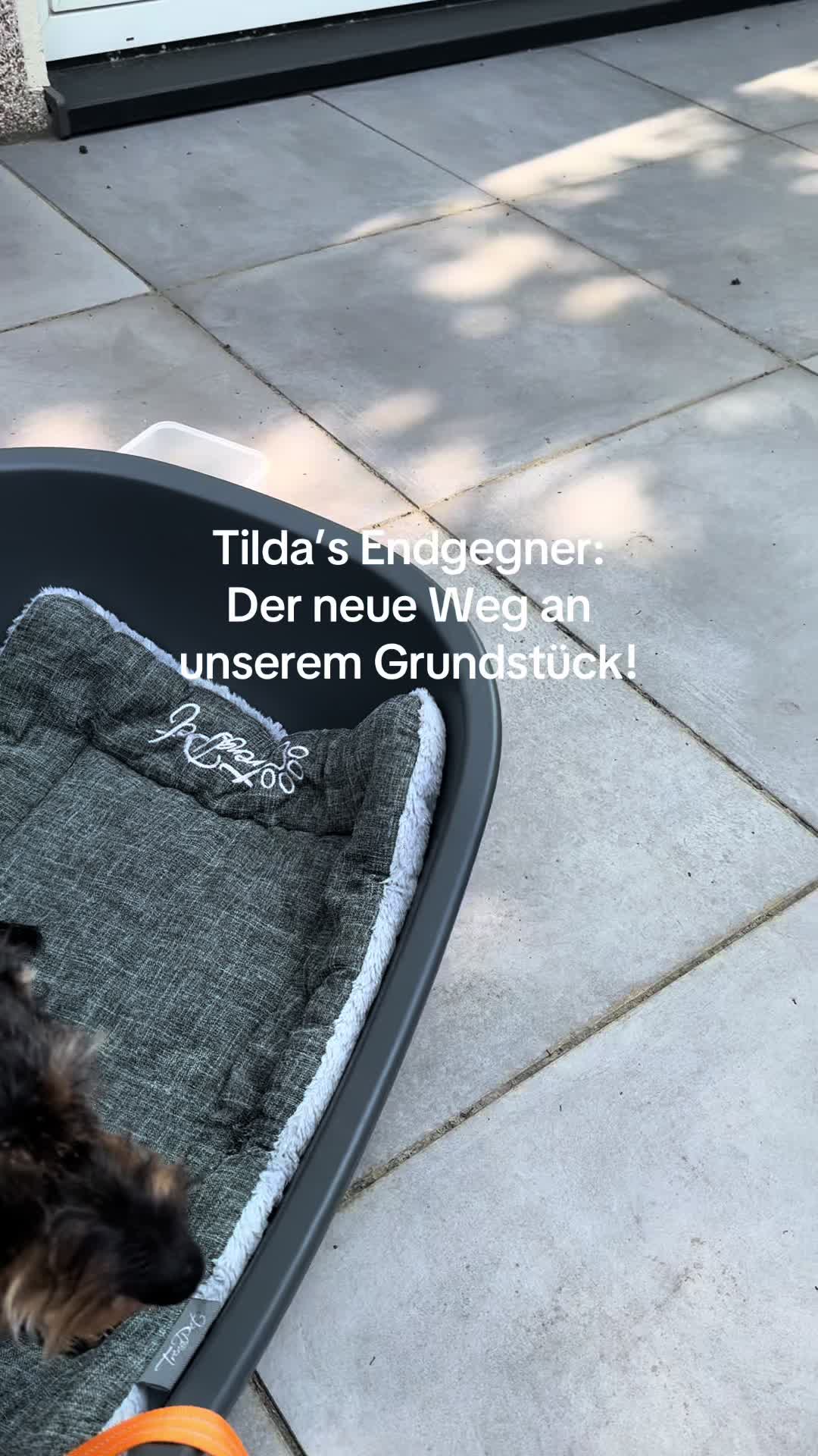 @Ichsch&uuml;tzekinderundtiere