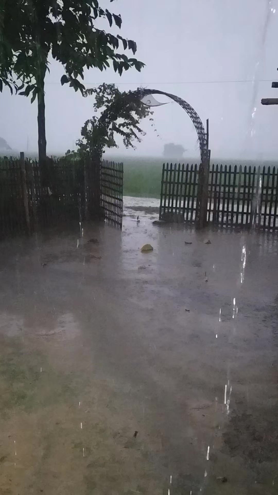 @dasdinesh76