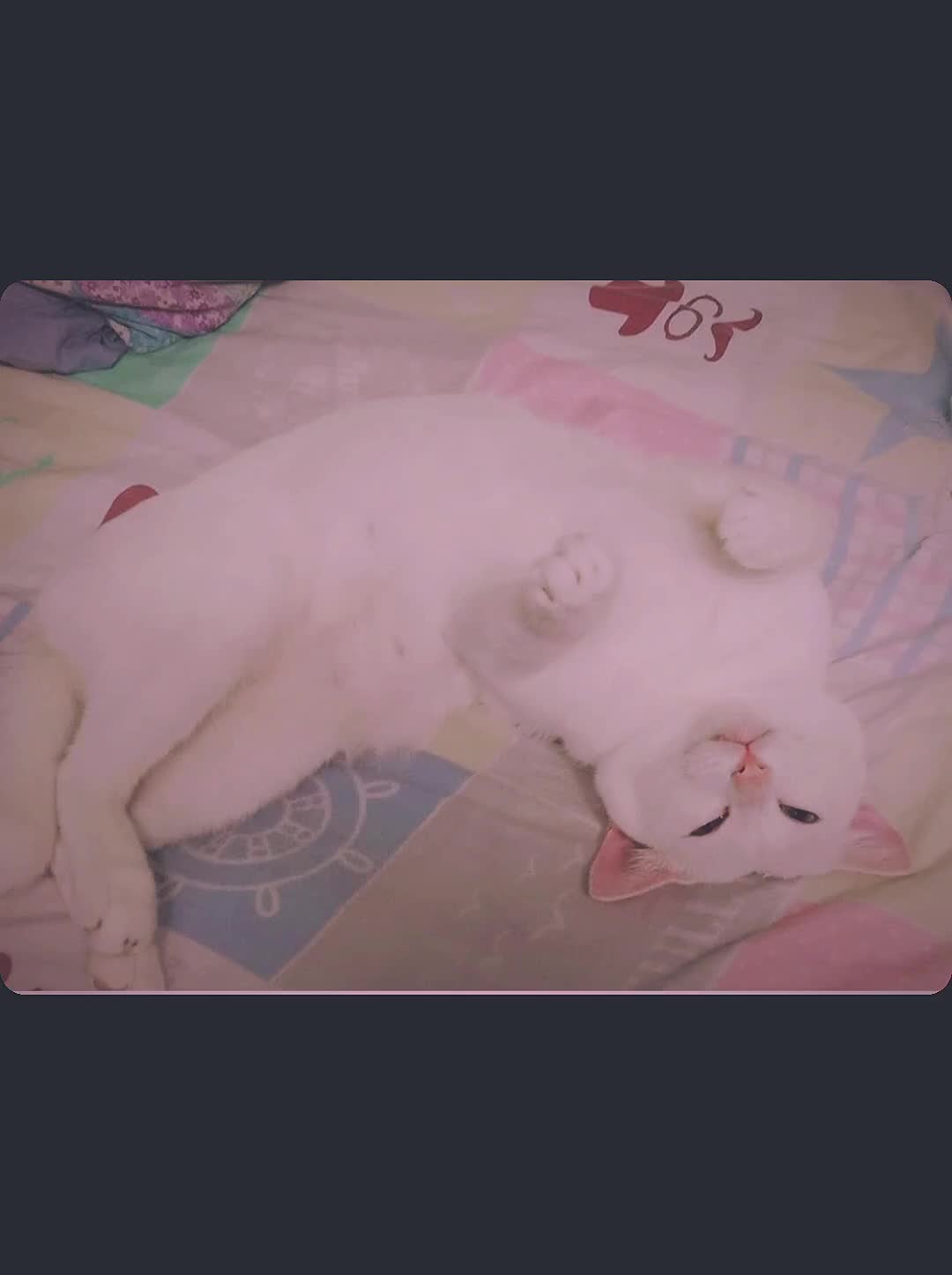 @๐๐ฎ๐ท๐บ๐พ๐ฎ๐ญ๐ฎ