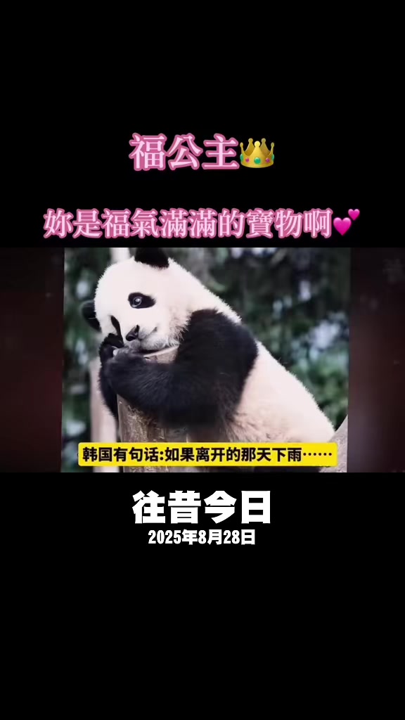 @福公主💕福豬豬💕 🍎 🥕 🐼 🎋🍀