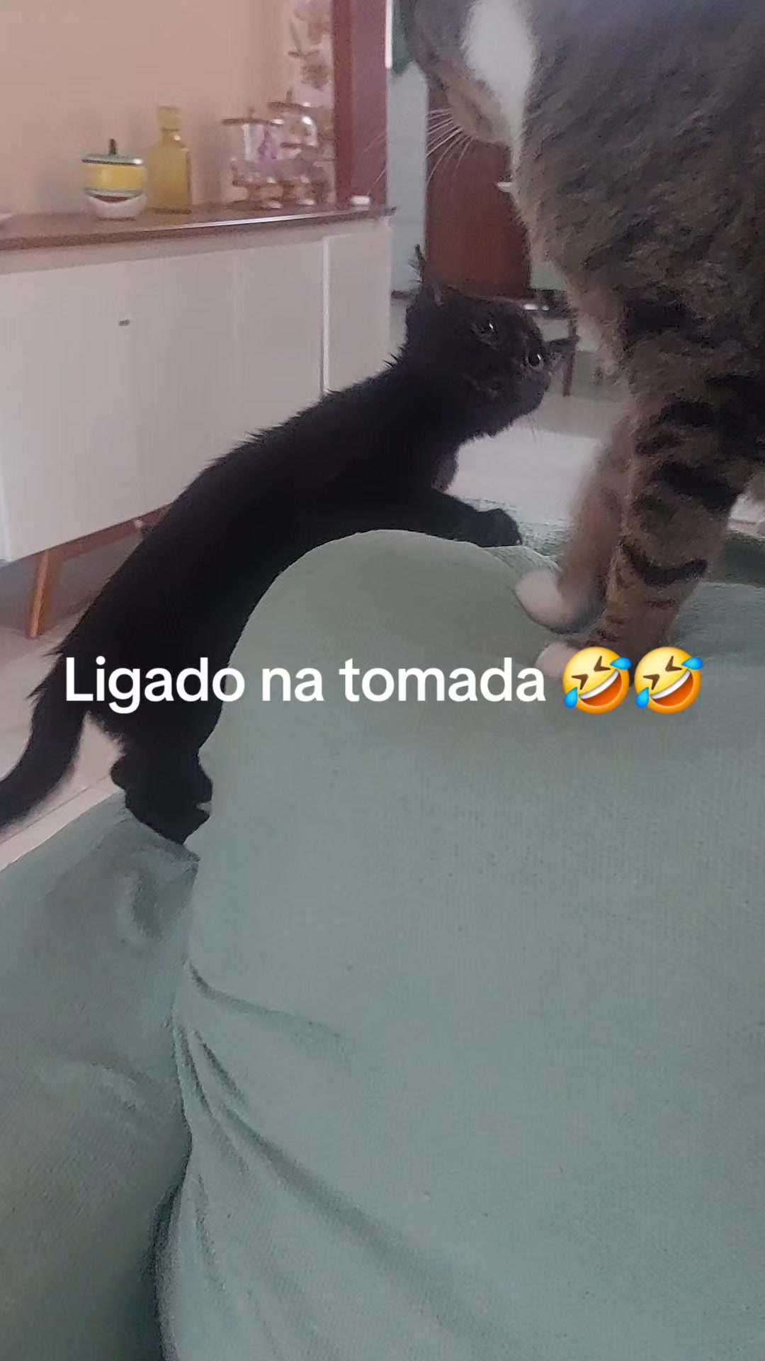 @Luci