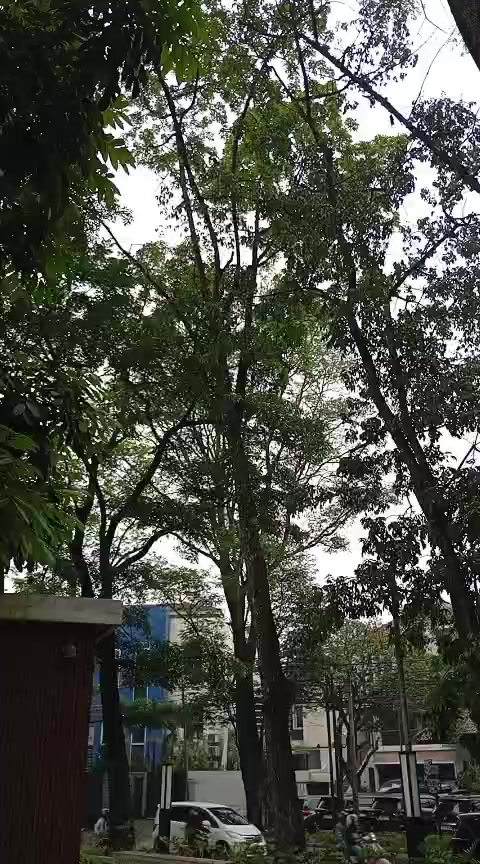 @Ichsan Solihudin