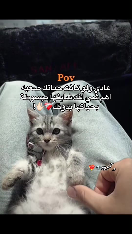 @﮼وقت🖤🌀