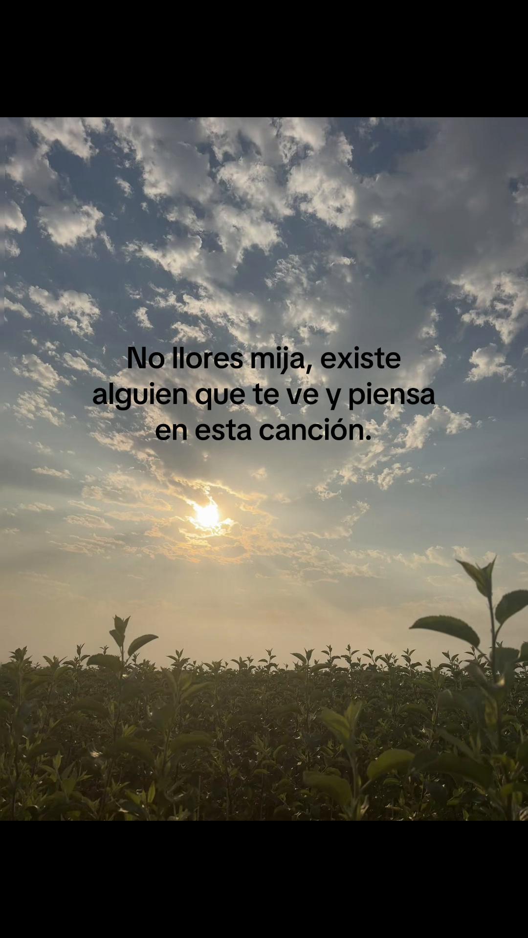 @🍓❤️&zwj;🔥 Dulce 🍓💙