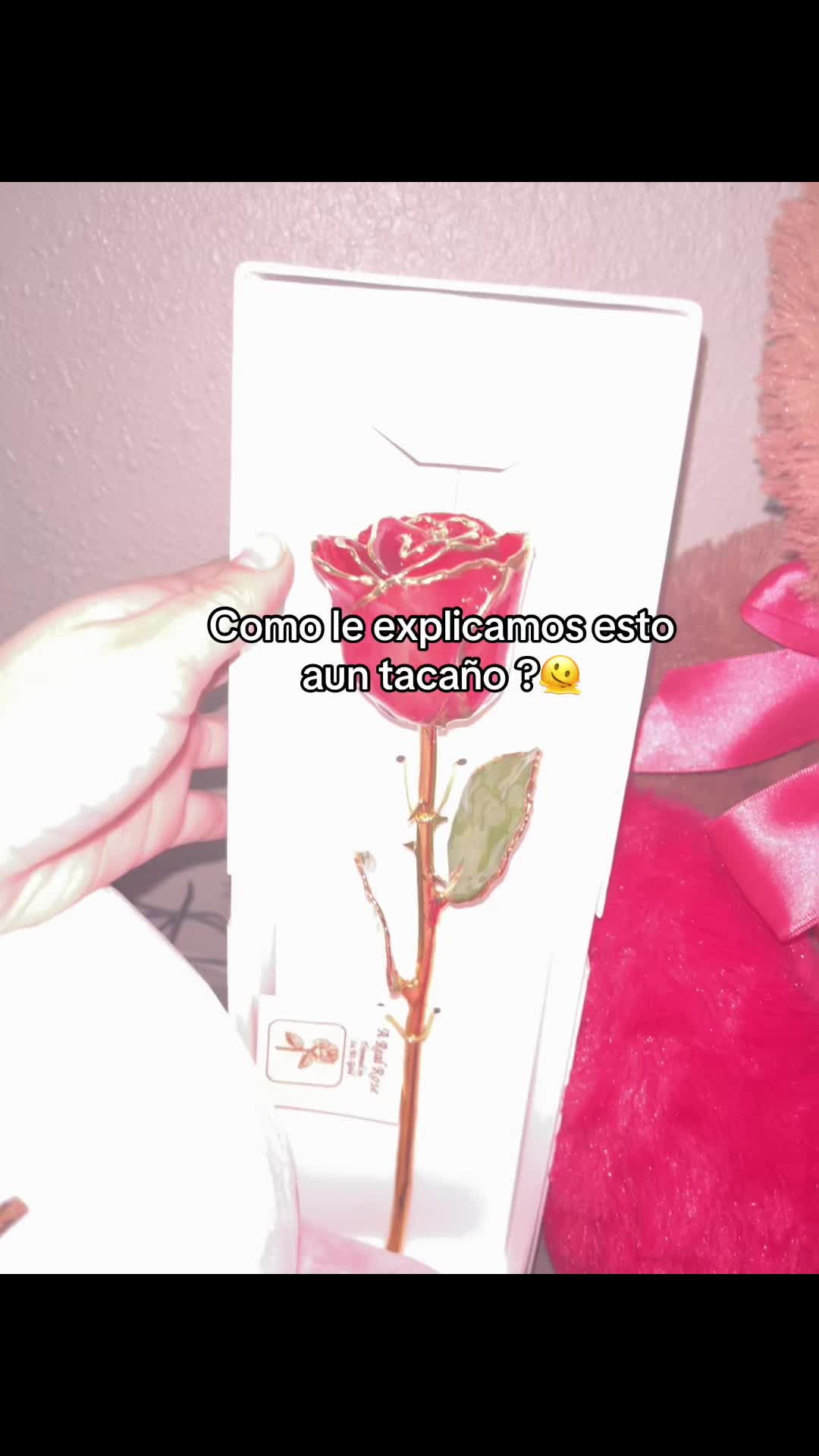 @Dayani 💝✨