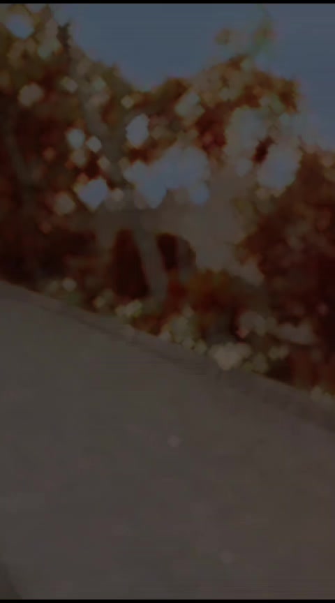 @faraziii459