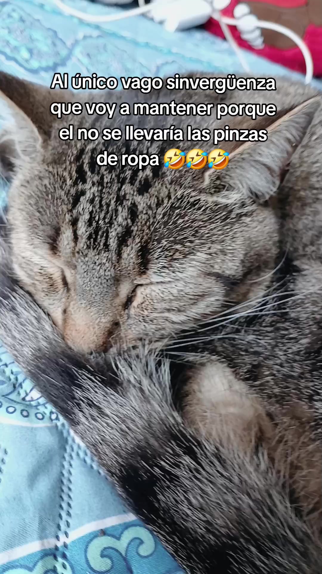 @Erika Fernanda 🦝👩&zwj;🎨