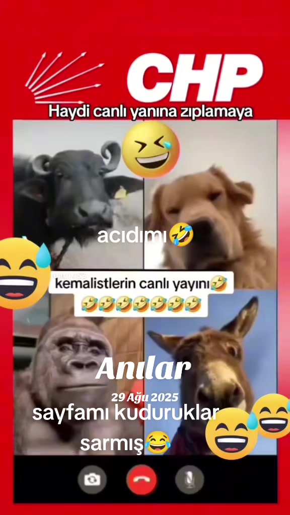 @cadı seda