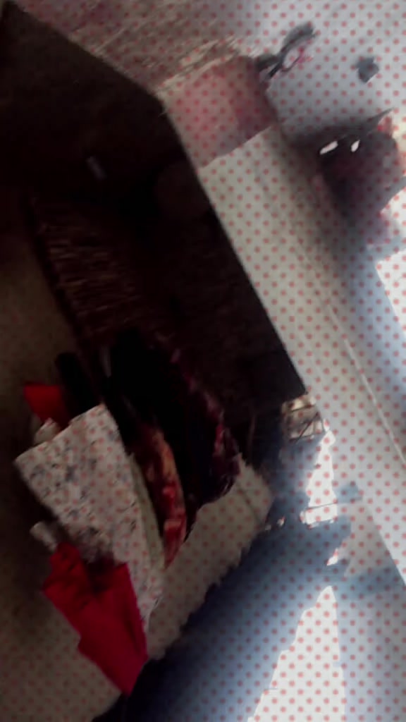 @sushmitayadav 99