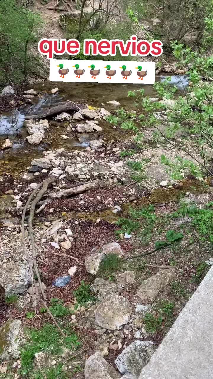 @Charlotte🐕&zwj;🦺🐈🐕🦬🐐🐎🐄🐒