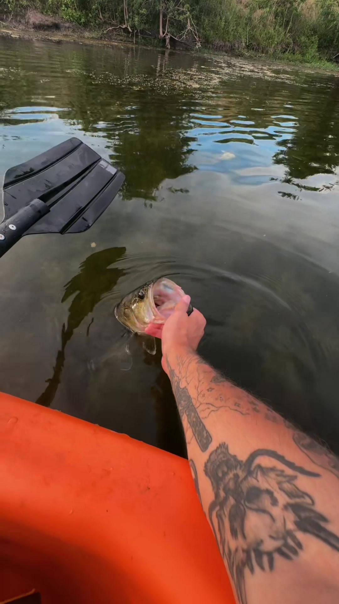 @ethan4fishing