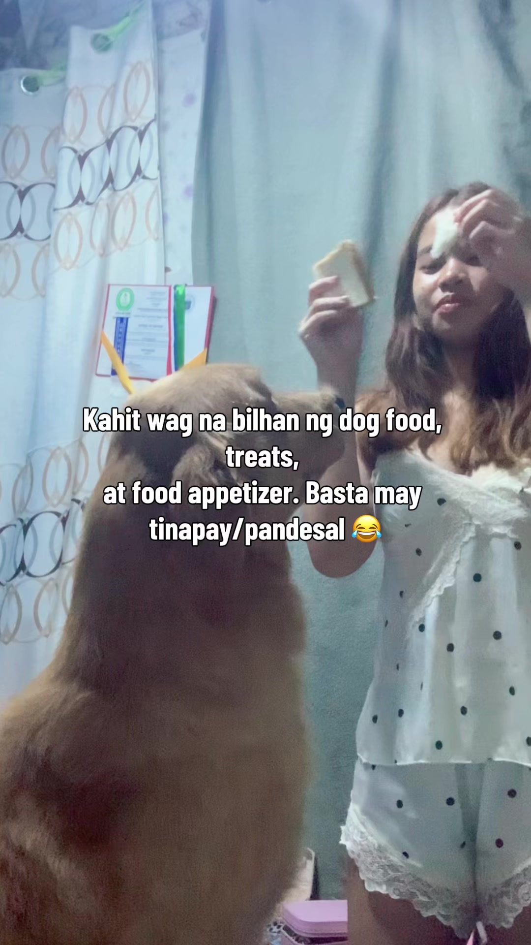 @Elmo 🐶