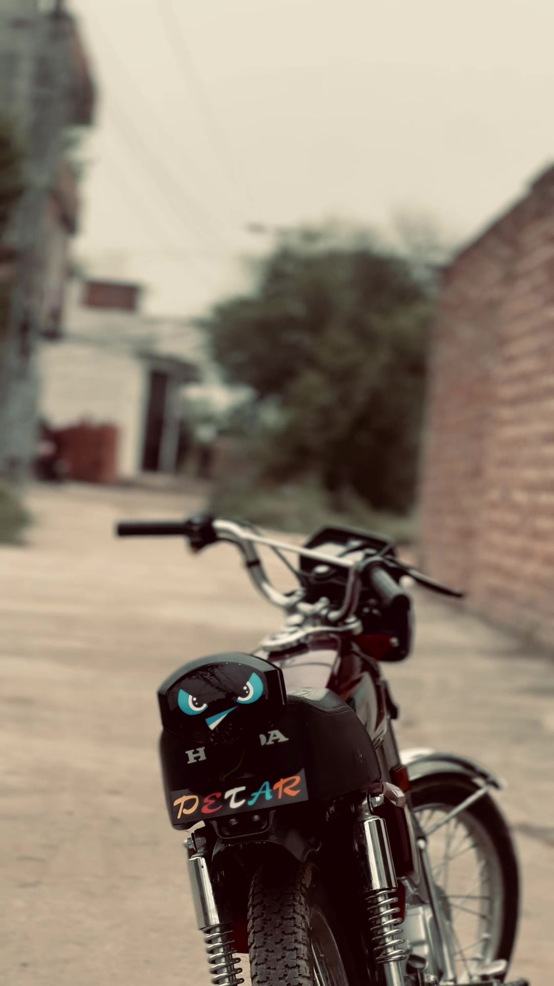 @شیر 🦁