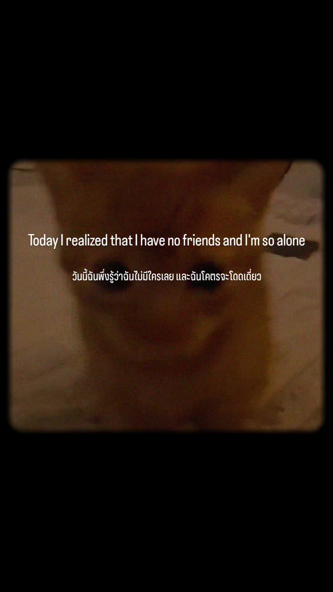 @Sh1e Cr4sh