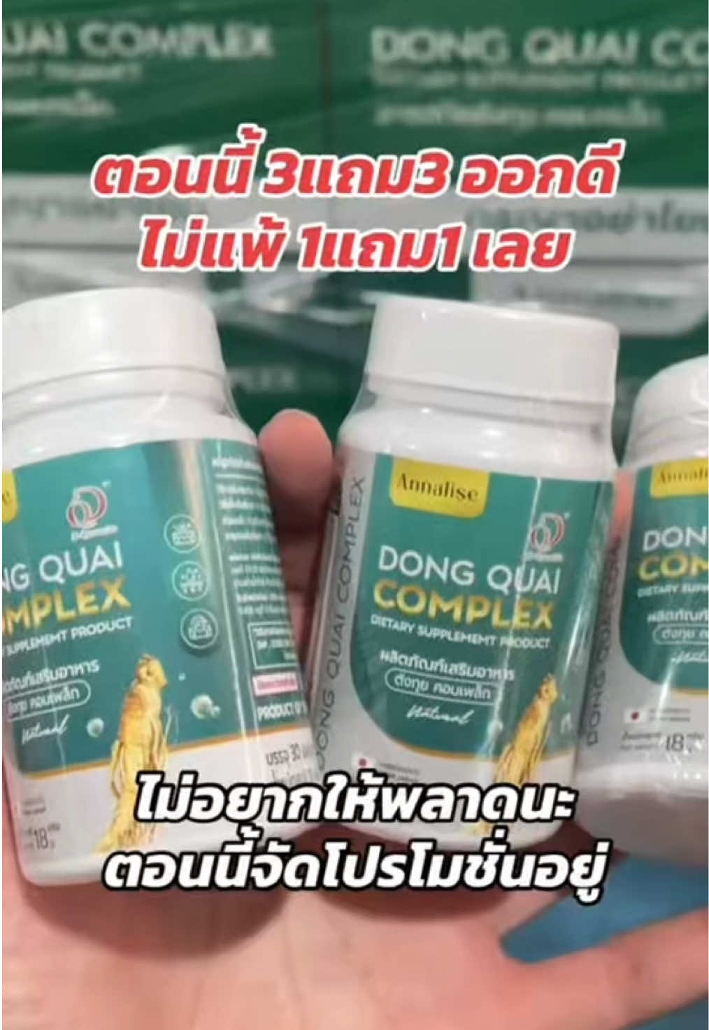 @ตังกุย แอนนาลิส ช่องบริษัท