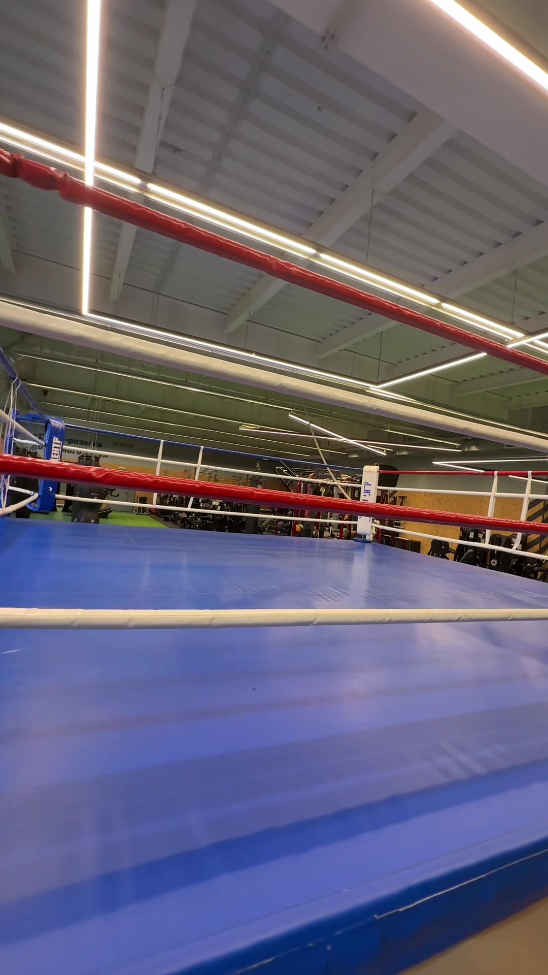 @boxing club EPICENTR 👊