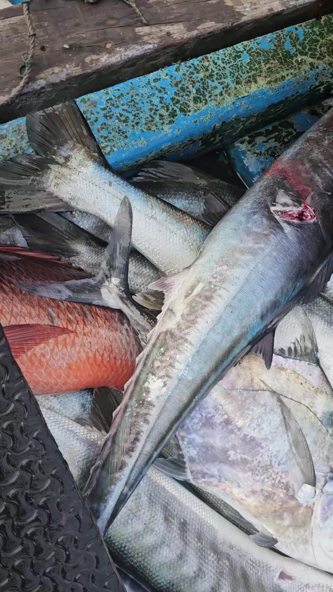 @Chasse Sous-Marine Bénin