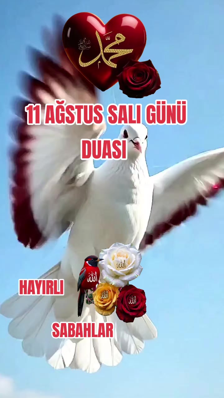 @NAKŞİ💚AYLESİ💜AHSEN🌹GÜL