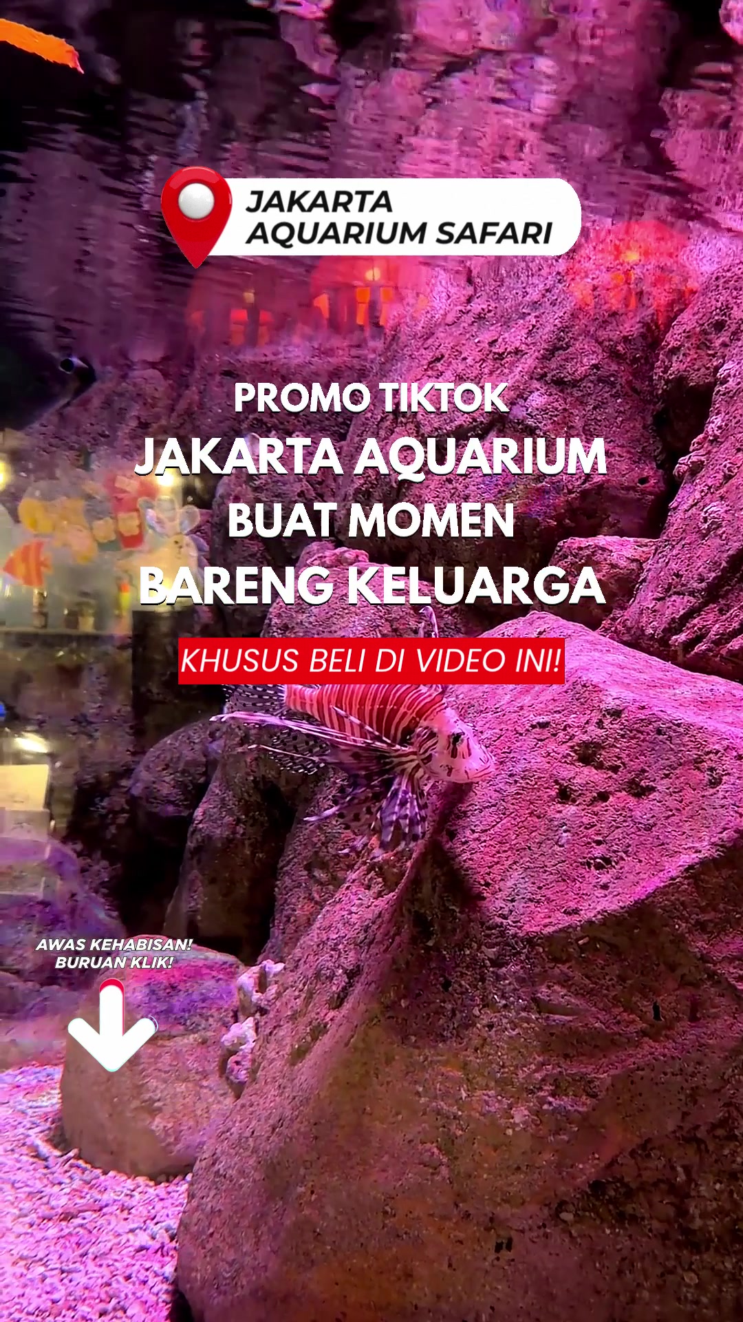 @Anisa Indah Pratiwi
