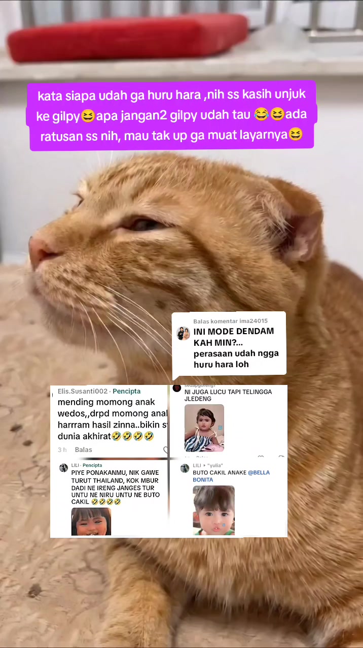 @๊ง๊ง ๐๐๐๐๐ ๐๐๐๐๐๐ ๊ง๊ง