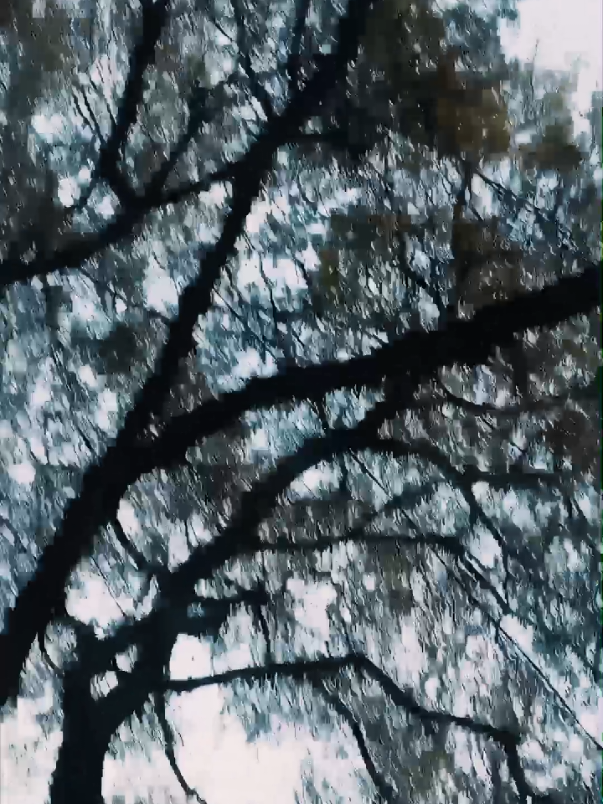 @Raja Iftikhar Khan